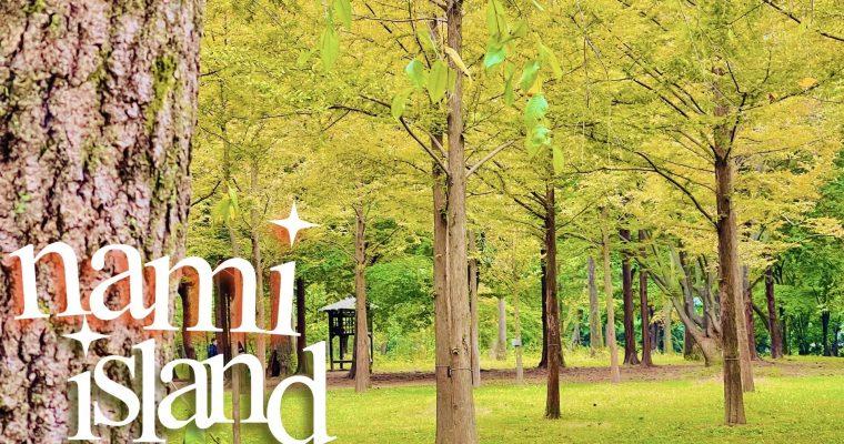How to go to Nami island without bus tour – DIY